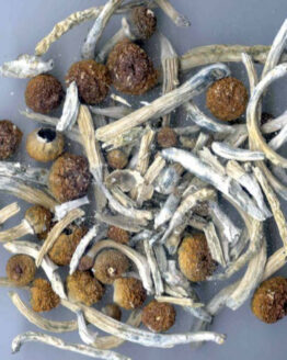 Big Mex Magic Mushrooms