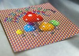 Buy LSD Sheets Online