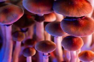 Read more about the article Where Can You (Legally) Buy Magic Mushrooms?